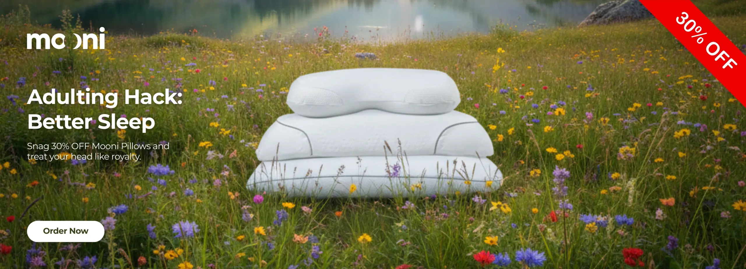 Mooni_Pillow_Website_Banner_1440x520p[1]